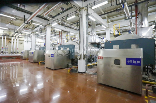 40T燃生物質(zhì)導熱油鍋爐供應