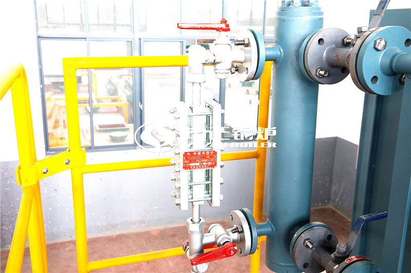 20噸燃生物質(zhì)導熱油鍋爐企業(yè)