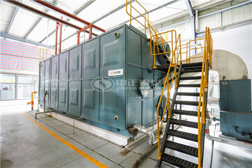 20噸燃生物質(zhì)導熱油鍋爐企業(yè)
