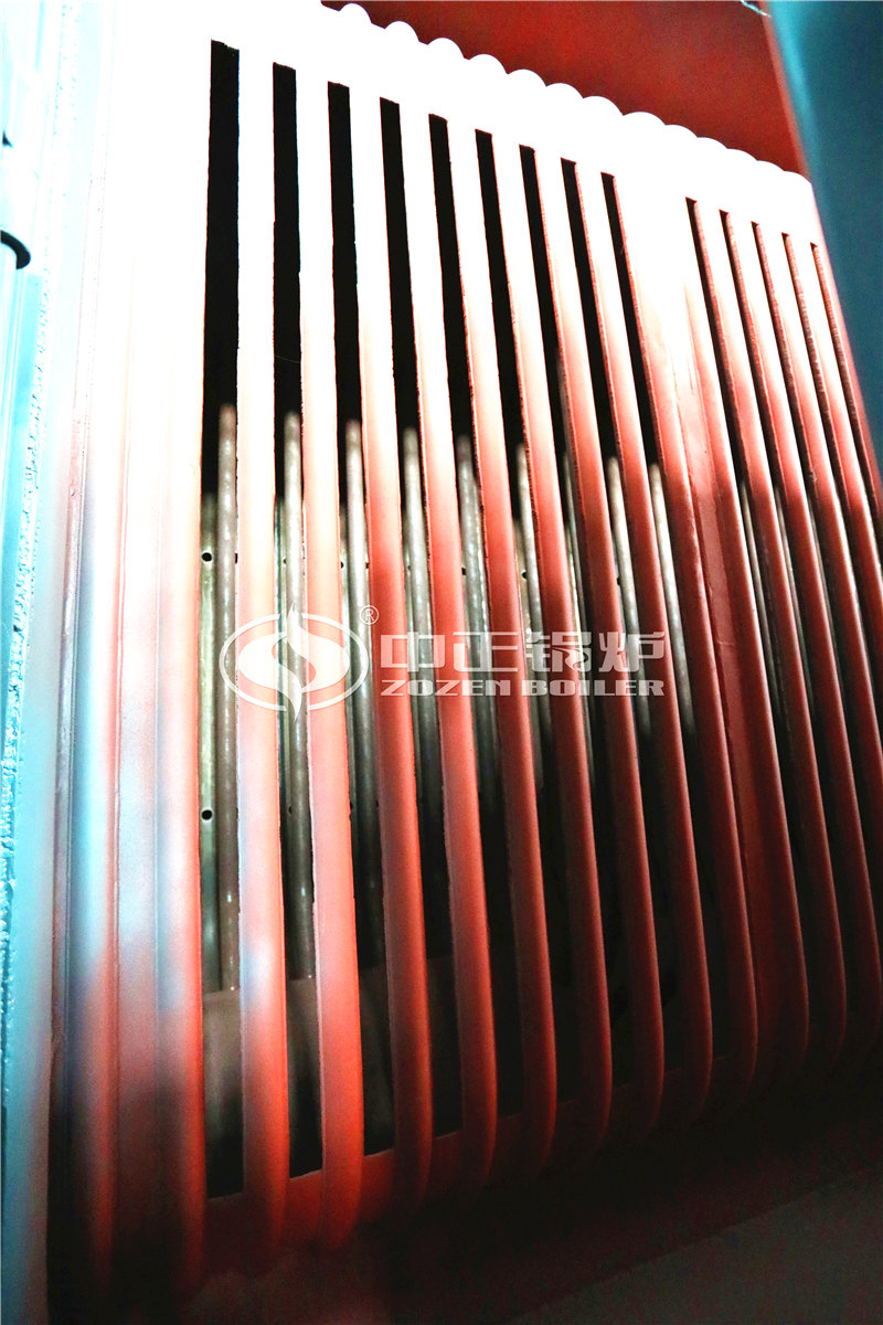 10T燃生物質(zhì)導熱油爐廠家