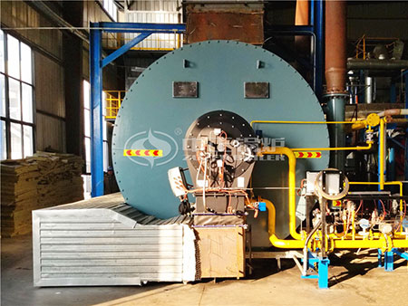 有機熱載體鍋爐/導(dǎo)熱油爐