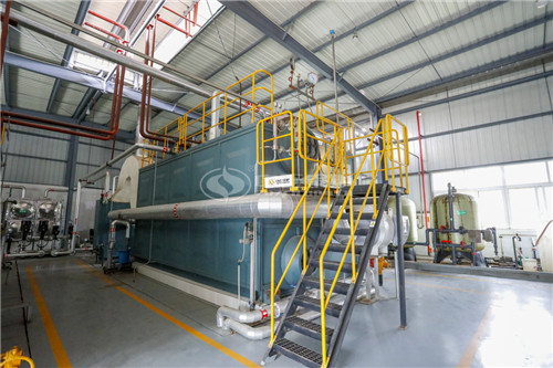 8T燃生物質(zhì)導(dǎo)熱油爐多少萬(wàn)元買(mǎi)到