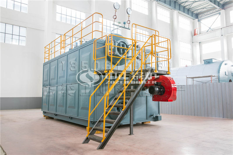 燃?xì)忮仩t常用燃料